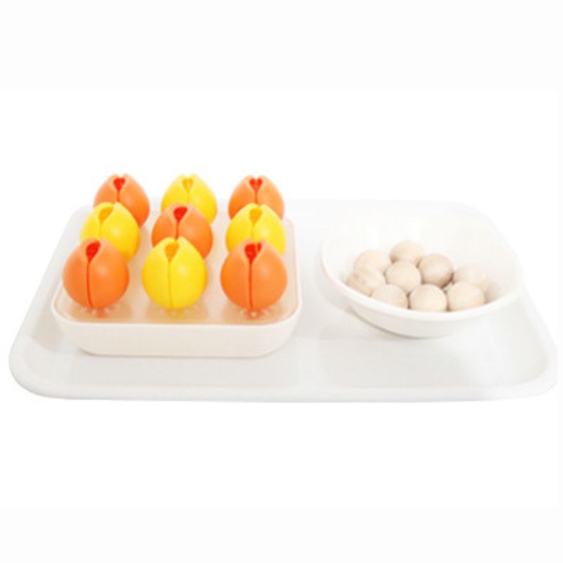 Montessori Cactus and Ball Finger Activity Tool