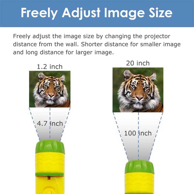 Fidtoy Proyector de Juguete con Linterna para Niños Luz de Aprendizaje Animal y Espacial