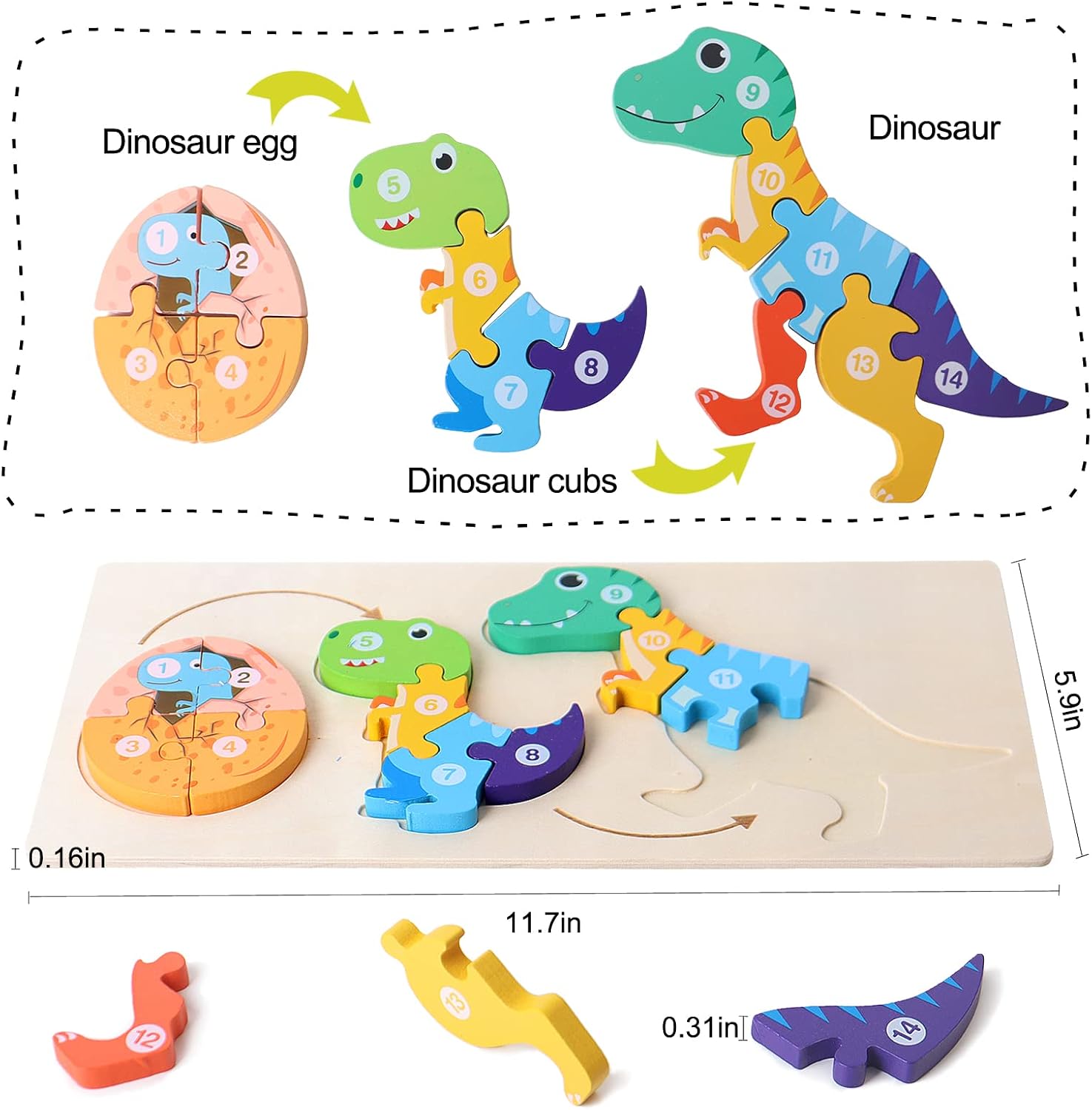 Fidtoy Puzzle 3D cognitif de croissance animale - Animaux aléatoires, Puzzle de croissance animale en bois avec pièces numérotées, Jouet d'apprentissage Montessori sur la nature pour enfants