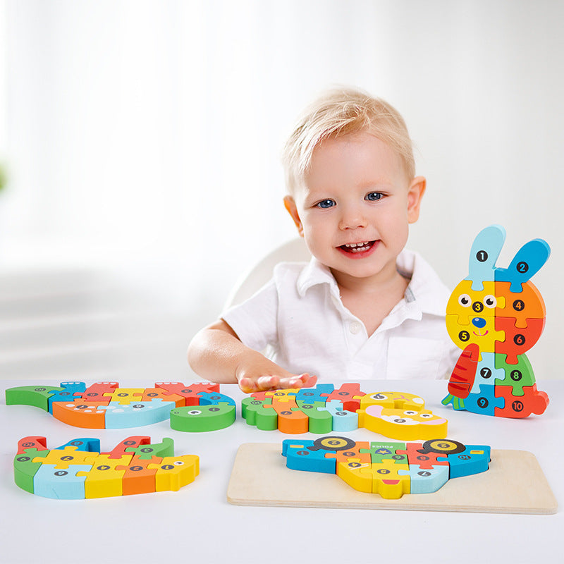 Fidtoy Wooden Shape Matching Puzzle for Toddler Learning Autism Kids Quiet Time Toy Montessori Puzzle Educational Toy Fine Motor Skills Game