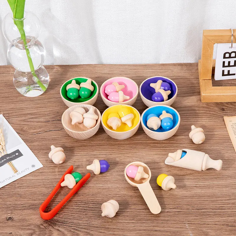 Colour Sorting Gumnuts and Bowls with Tools
