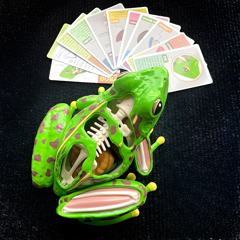 FrogScope