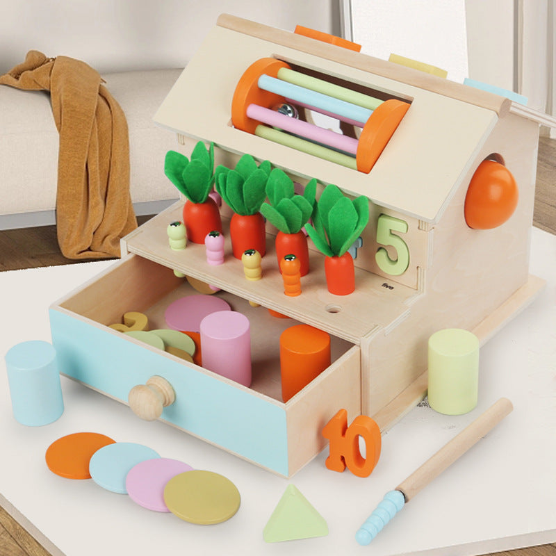 Montessori Multi Activities Geometric Shape Sorting Box Toddler Fine Motor Skill Wooden Toy Display Stand