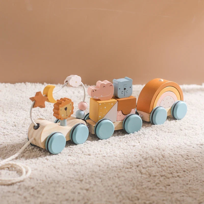 Fidtoy Jouet à tirer en bois pour tout-petits, voiture éducative 1 an et plus