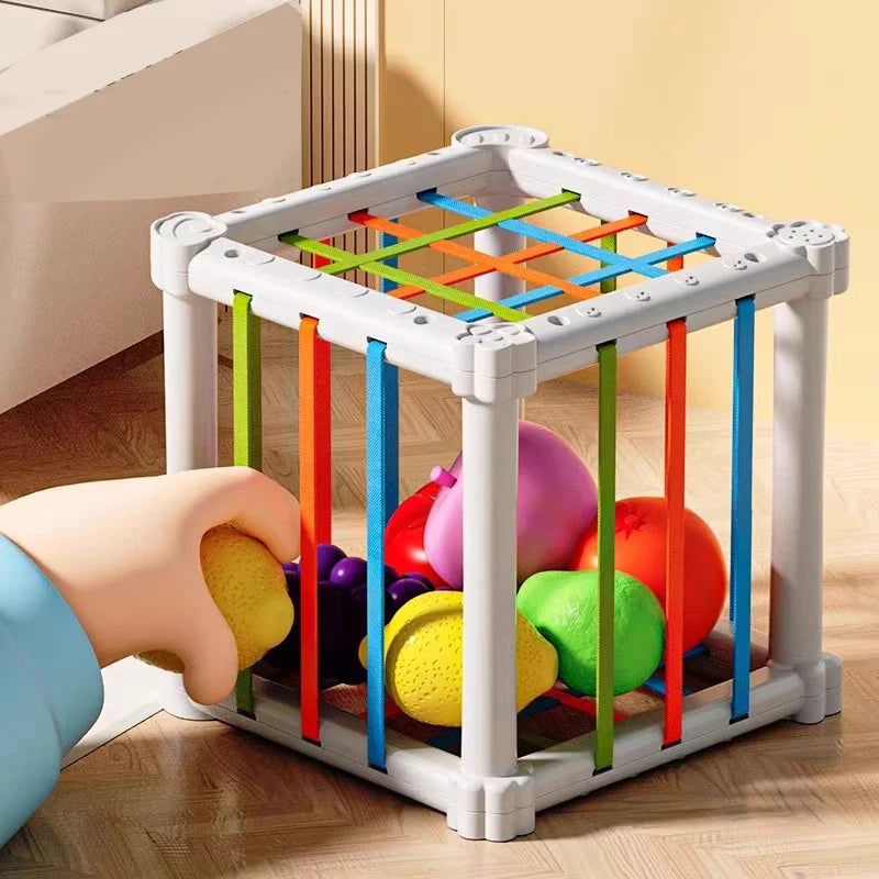 Fruit Box™ - Couper, Jouer, Apprendre - Fruits en boîte