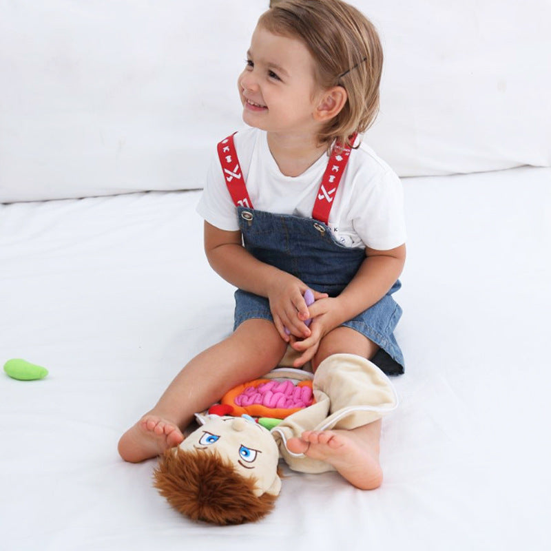 Muñeco de anatomía Montessori - Los mejores juguetes Montessori