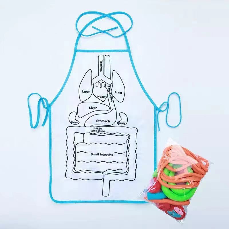 Delantal de anatomía de órganos del cuerpo humano Montessori - Los mejores juguetes Montessori