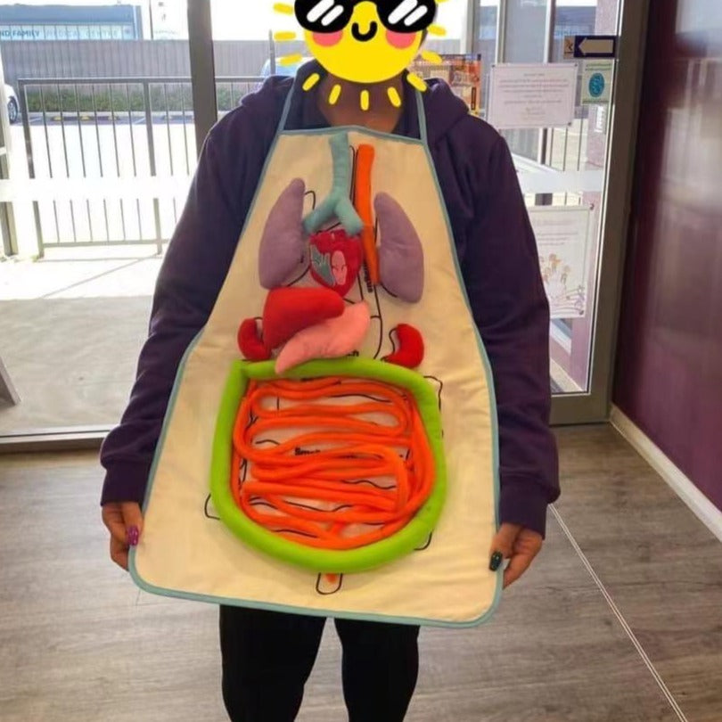 Delantal de anatomía de órganos del cuerpo humano Montessori - Los mejores juguetes Montessori