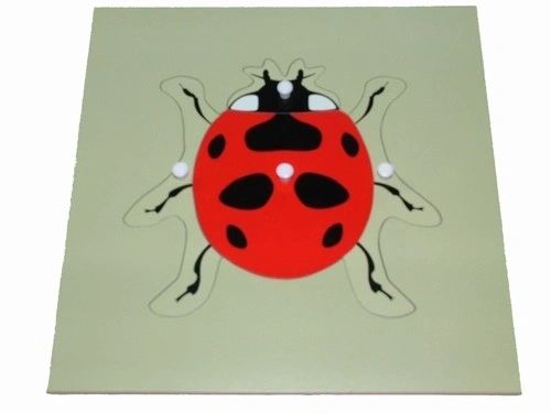 Puzles de animales Montessori Tortuga Pájaro Rana Caballo Pez Gallo Mariquita Mariposa Juguete educativo de madera para preescolar y jardín de infancia