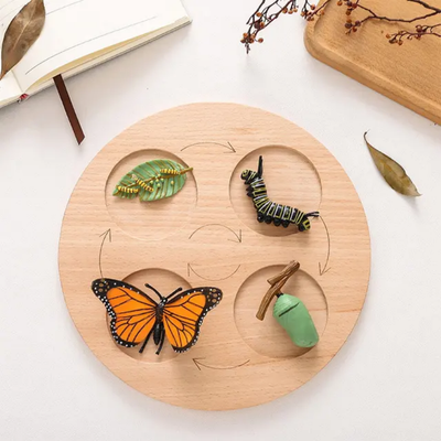 Jouet Montessori en bois sur le cycle de vie