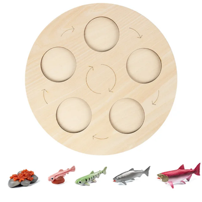 Jouet Montessori en bois sur le cycle de vie