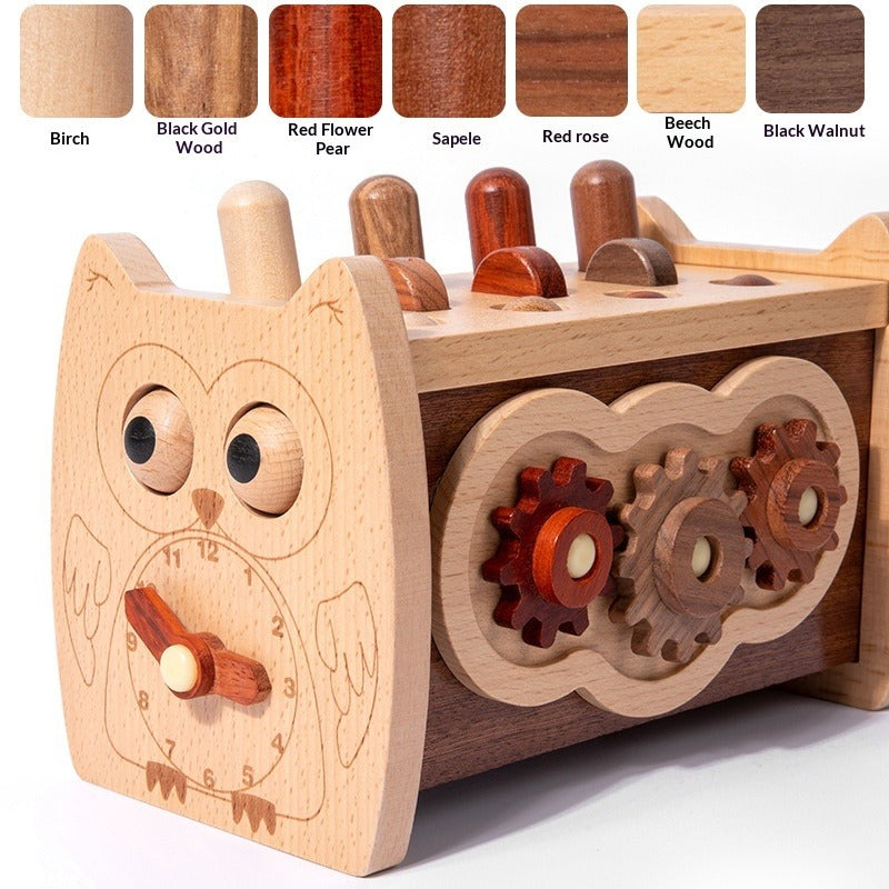 Boîte d'activités Montessori Chouette Intelligente