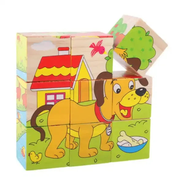 Cubo Rompecabezas 9pz