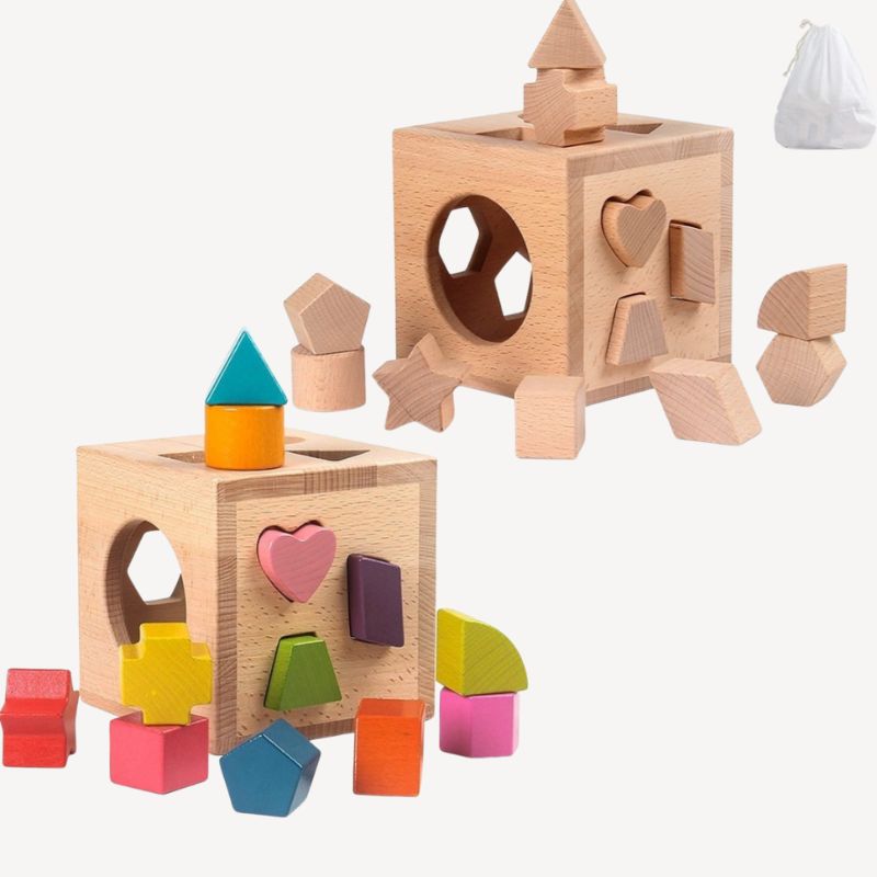 Boîte de tri de formes Montessori avec 12 blocs géométriques