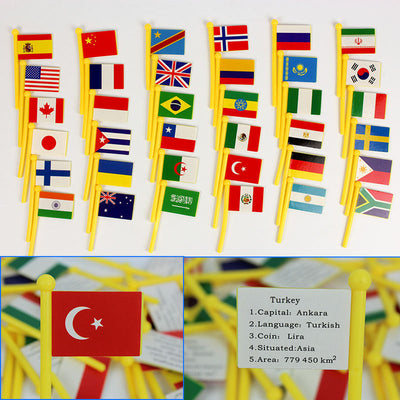 Carte du monde des drapeaux nationaux - Les meilleurs jouets Montessori