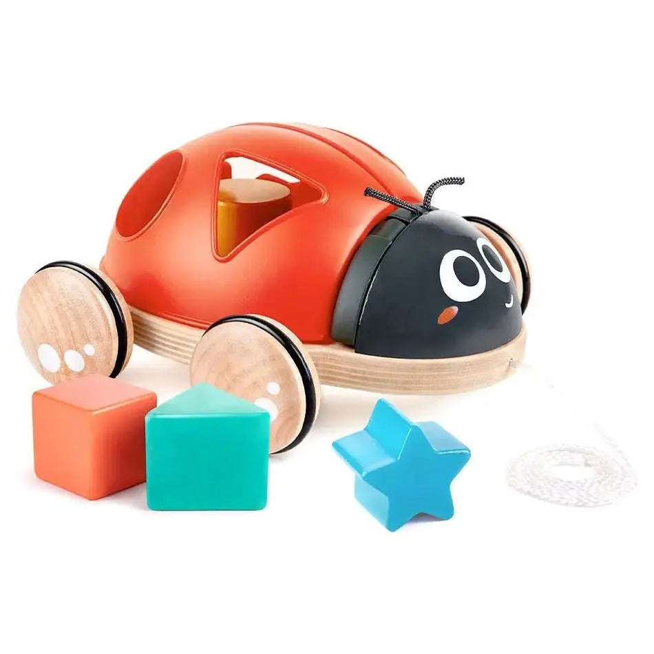 Juguete de arrastre de mariquita de madera Fidtoy con clasificador de formas para niños pequeños