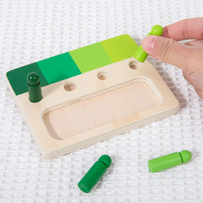 Gradient Colour Pegs Matching Palette Sets