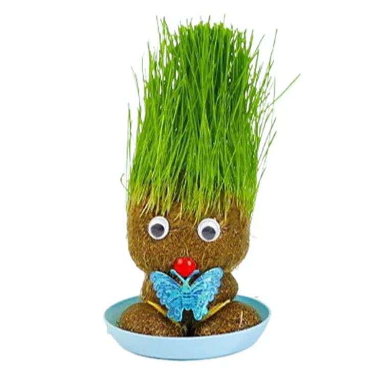 Muñeca de Planta de Interior con Flores