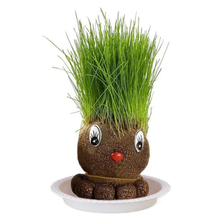 Muñeca de Planta de Interior con Flores