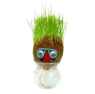 Muñeca de Planta de Interior con Flores