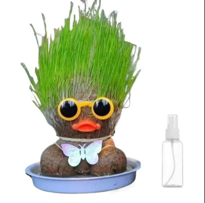 Muñeca de Planta de Interior con Flores