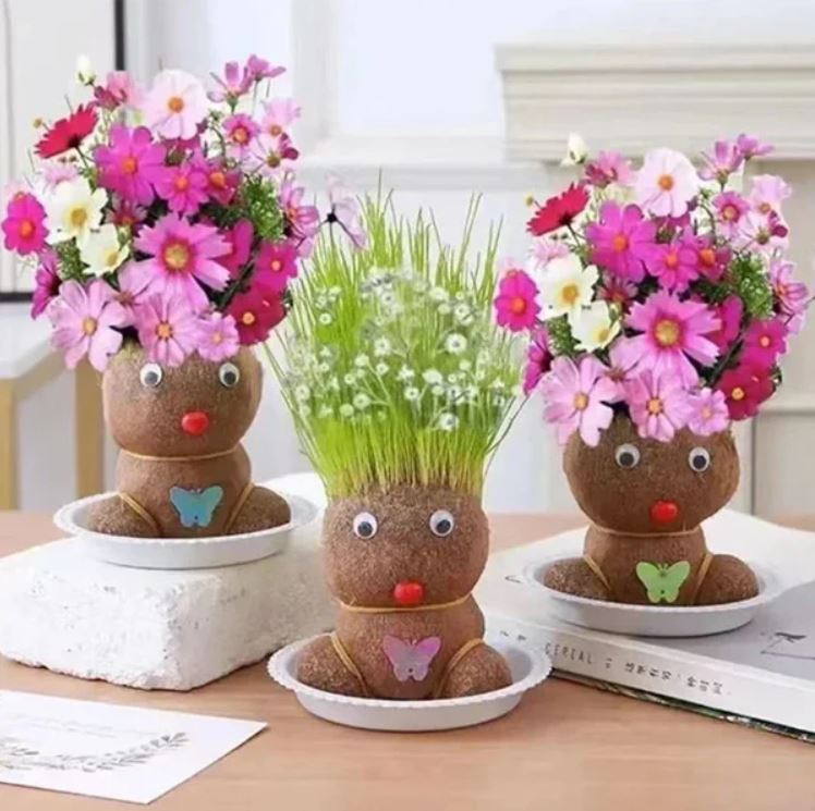 Muñeca de Planta de Interior con Flores
