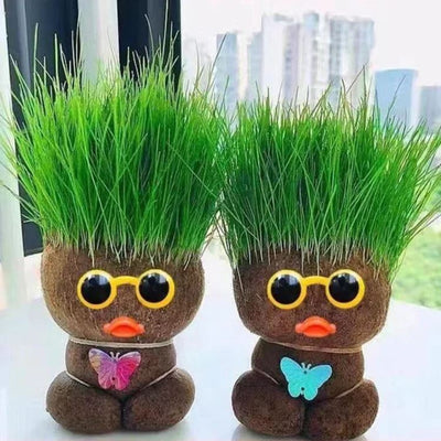 Muñeca de Planta de Interior con Flores