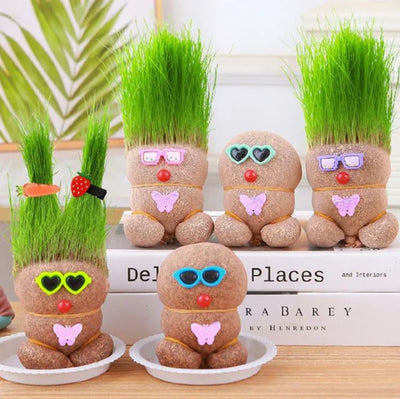 Muñeca de Planta de Interior con Flores