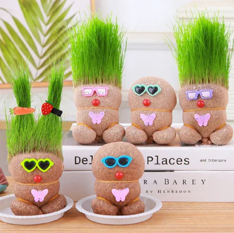 Muñeca de Planta de Interior con Flores