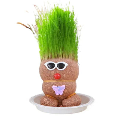 Muñeca de Planta de Interior con Flores