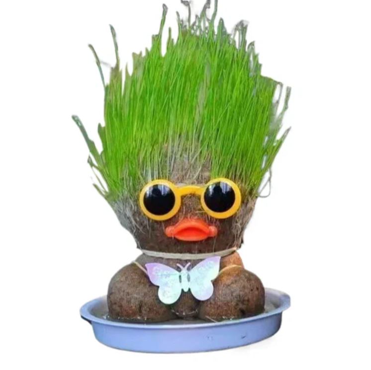 Muñeca de Planta de Interior con Flores