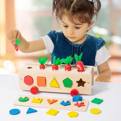 Boîte de Tri 5 en 1 : Couleurs et Formes, Jouet en Bois d'Inspiration Montessori pour Enfants