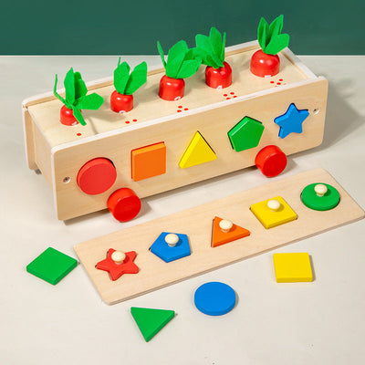 Boîte de Tri 5 en 1 : Couleurs et Formes, Jouet en Bois d'Inspiration Montessori pour Enfants