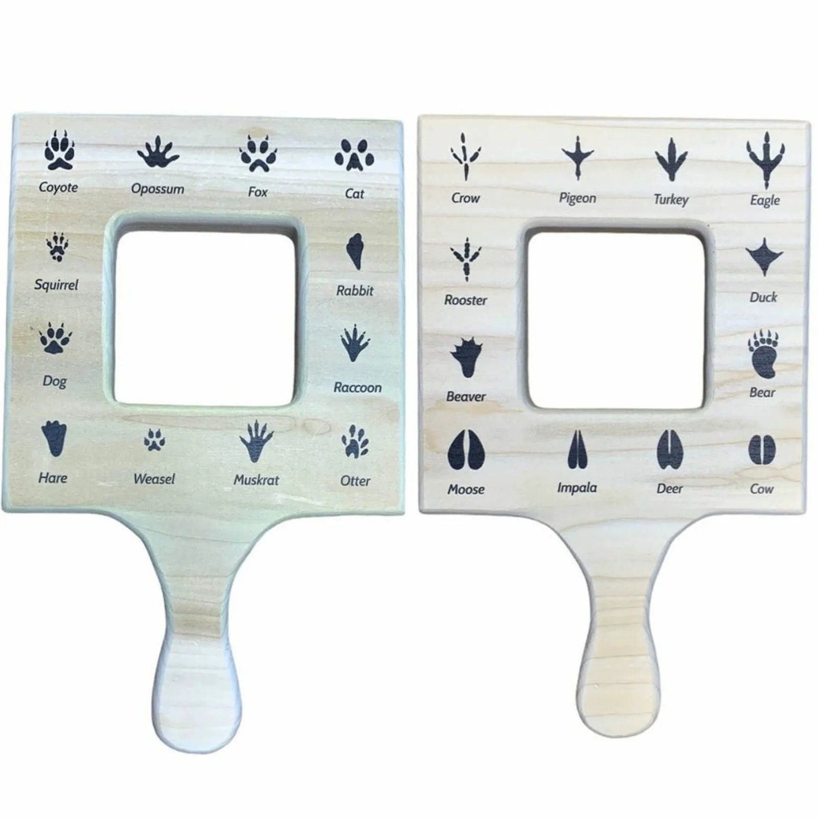 Gran visor de guía de naturaleza de madera de pino