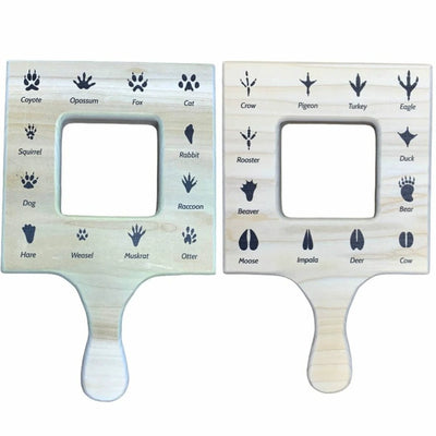 Gran visor de guía de naturaleza de madera de pino