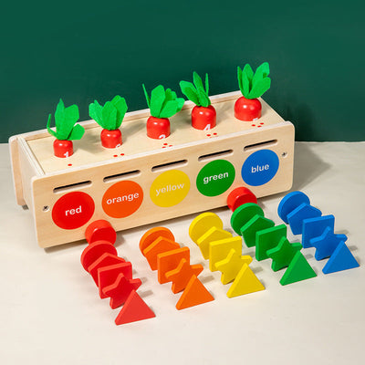 Boîte de Tri 5 en 1 : Couleurs et Formes, Jouet en Bois d'Inspiration Montessori pour Enfants