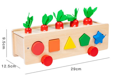 Boîte de Tri 5 en 1 : Couleurs et Formes, Jouet en Bois d'Inspiration Montessori pour Enfants