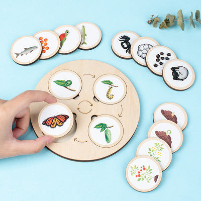 Tableau du cycle de vie Montessori pour la maternelle 10 animaux et plantes Papillon Grenouille Araignée Jouet cycle de vie Tournesol