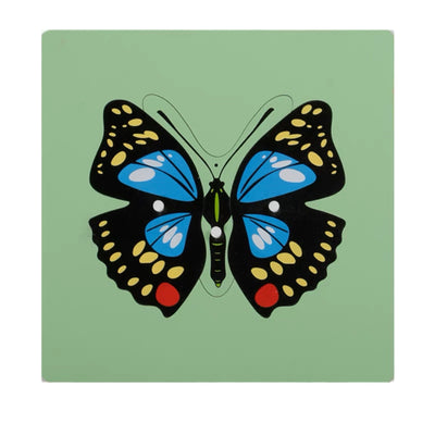 Puzles de animales Montessori Tortuga Pájaro Rana Caballo Pez Gallo Mariquita Mariposa Juguete educativo de madera para preescolar y jardín de infancia