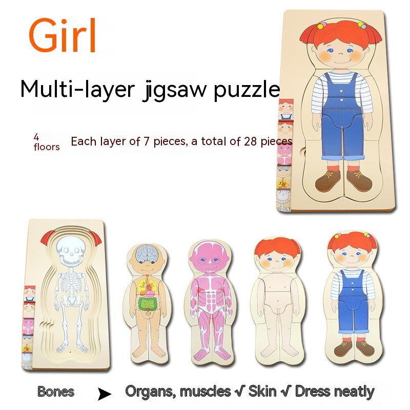 Puzzle éducatif sur le corps humain pour garçons - Amusant et instructif