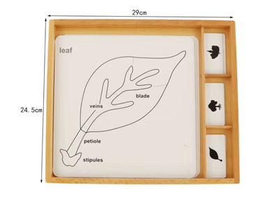 Cartes de contrôle Montessori de botanique – Classification des arbres, des feuilles et des fleurs