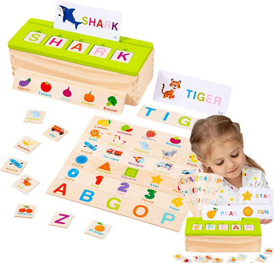 Boîte d'objets de classification des connaissances en bois assortis et de cartes flash - 048
