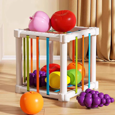 Fruit Box™ - Couper, Jouer, Apprendre - Fruits en boîte