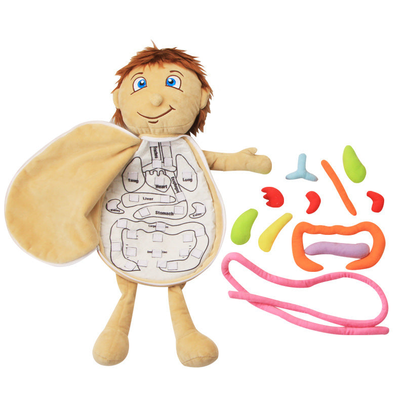 Muñeco de anatomía Montessori - Los mejores juguetes Montessori