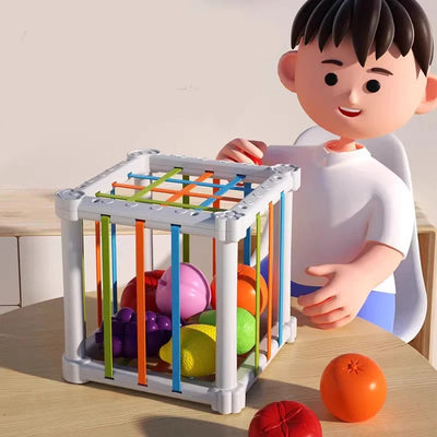 Fruit Box™ - Couper, Jouer, Apprendre - Fruits en boîte