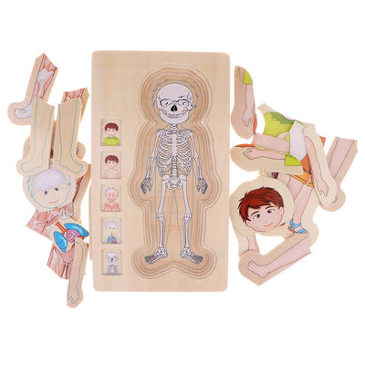 Onshine Puzzle anatomique 3D en bois - Jouets de motricité fine