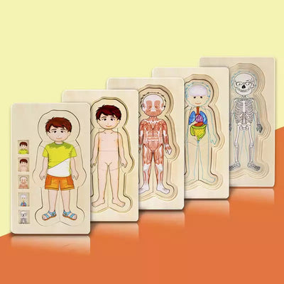Onshine Puzzle anatomique 3D en bois - Jouets de motricité fine