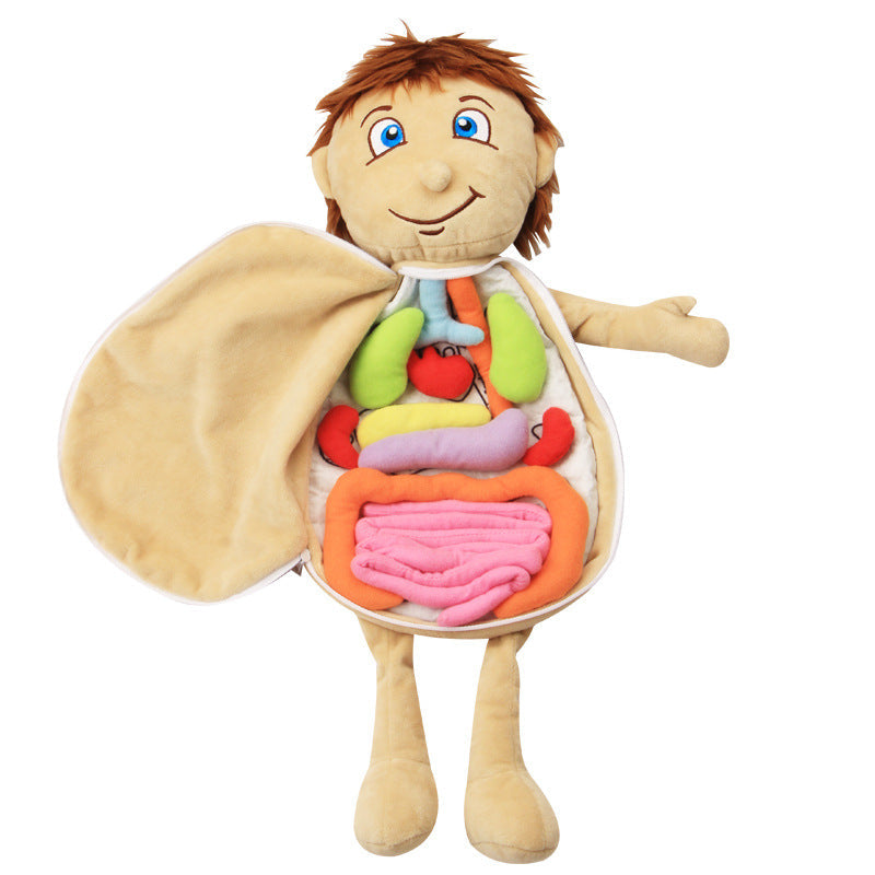 Muñeco de anatomía Montessori - Los mejores juguetes Montessori