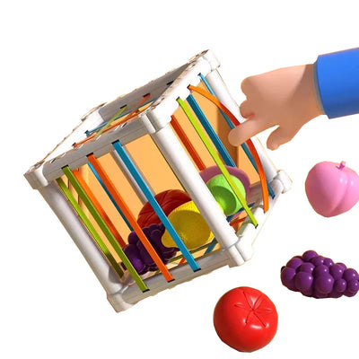 Fruit Box™ - Couper, Jouer, Apprendre - Fruits en boîte