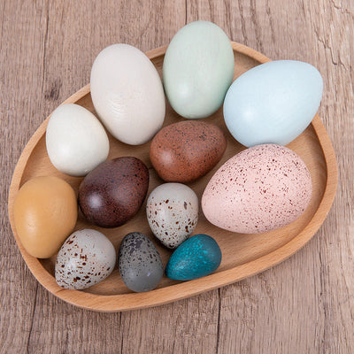 Œufs d'Oiseaux en Bois - Jouets en bois ouverts (sans règles)